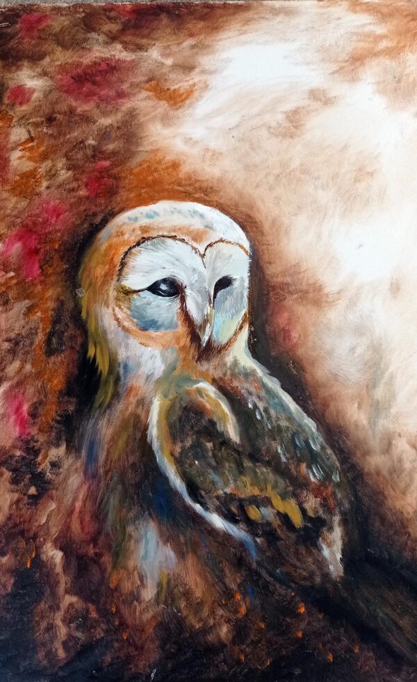 Owl by Liliya Bobyk 