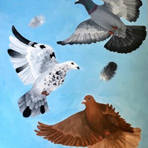 Pigeons Of Victory by Evelina Galushka