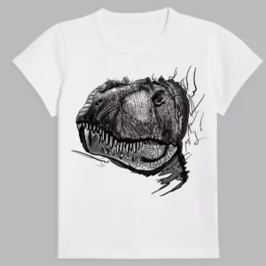 T-shirt in white colour with a print of dinosaur